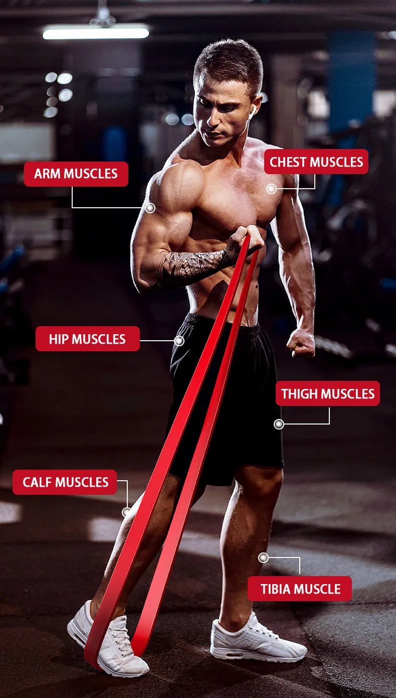 Heavy Resistance Bands Set for Pull-Up Assistance and Home Workouts